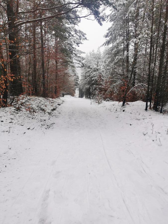 Вилла Kaszuby W Ostoja Bukowo - U Malgoski Domek 6 Z Widokiem Na Las I Internetem Borowy Mlyn Экстерьер фото