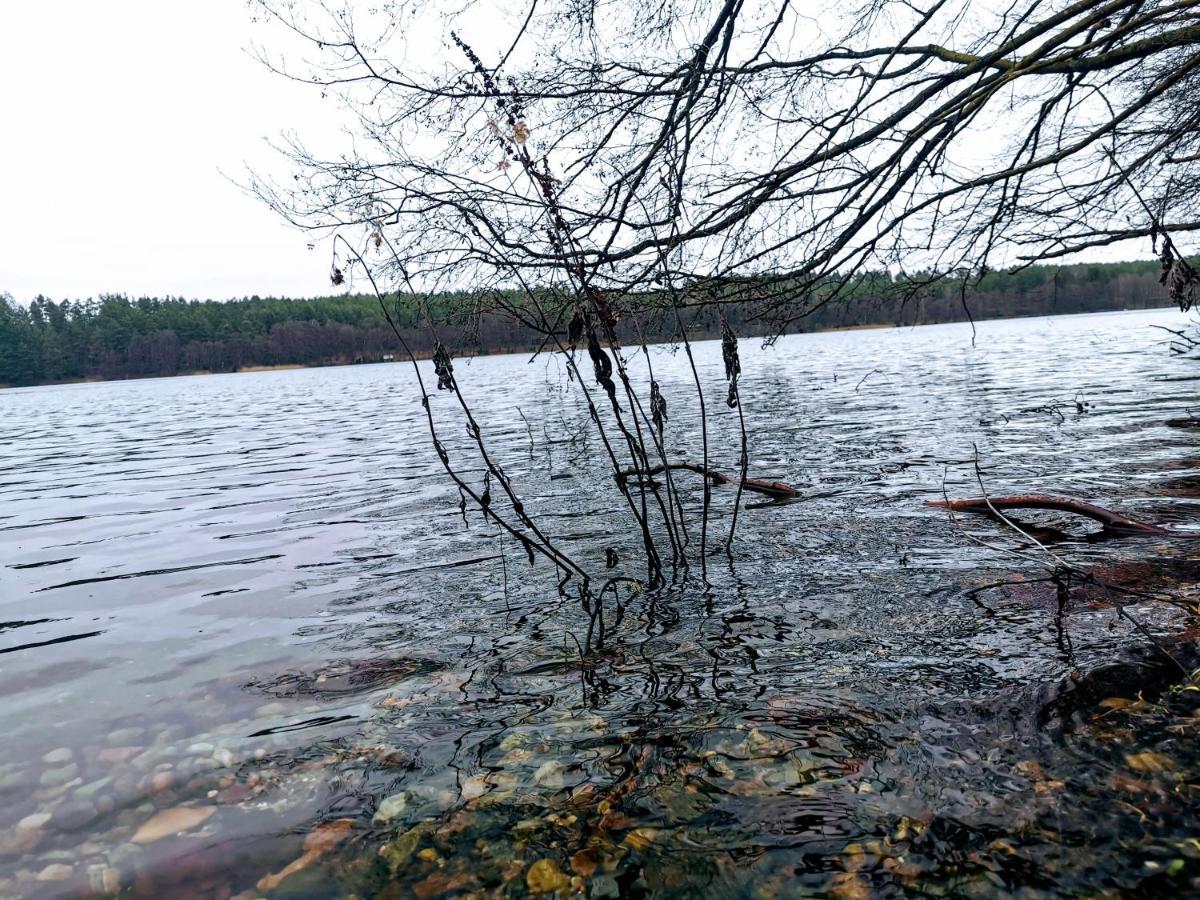 Вилла Kaszuby W Ostoja Bukowo - U Malgoski Domek 6 Z Widokiem Na Las I Internetem Borowy Mlyn Экстерьер фото