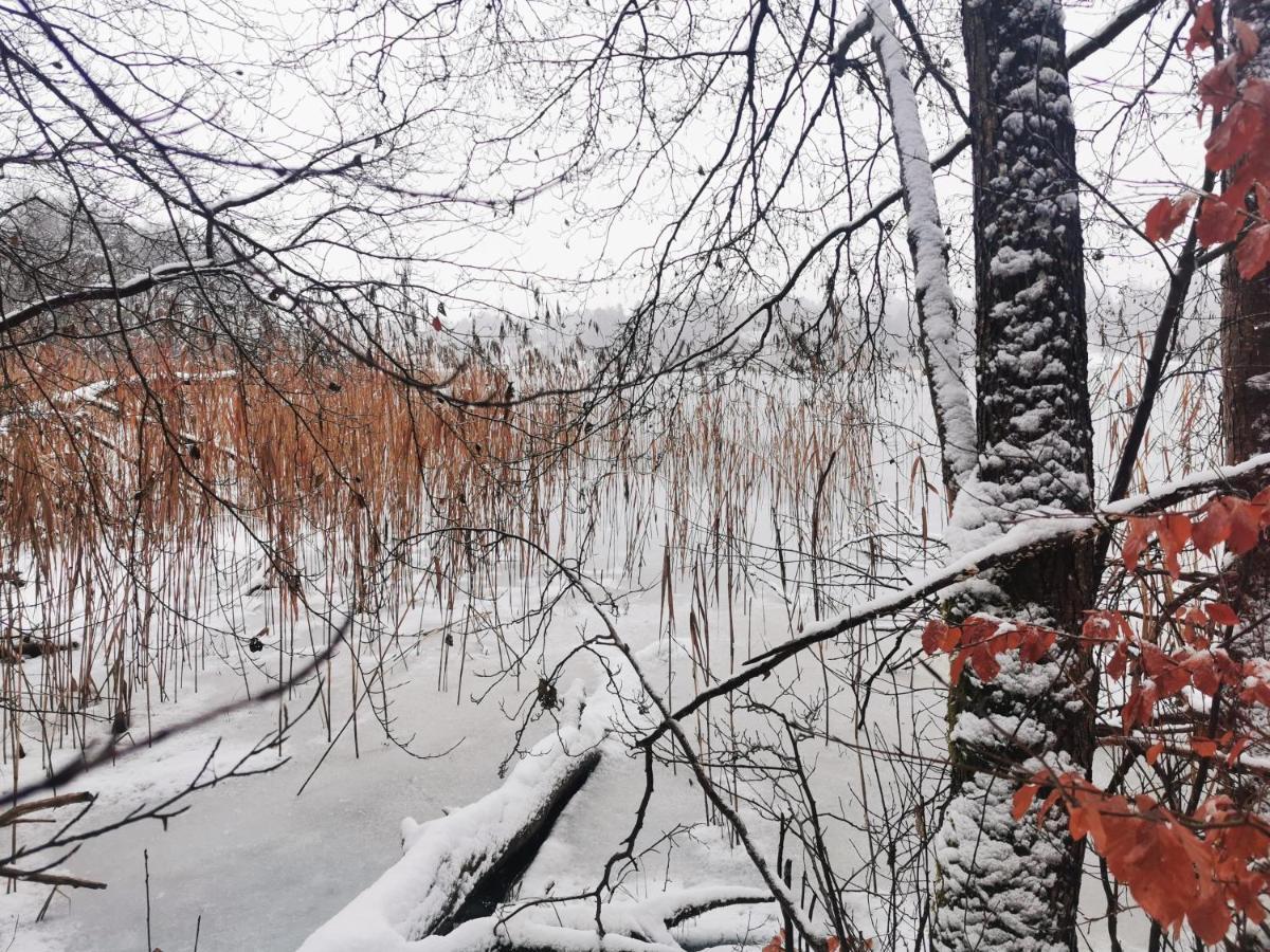 Вилла Kaszuby W Ostoja Bukowo - U Malgoski Domek 6 Z Widokiem Na Las I Internetem Borowy Mlyn Экстерьер фото