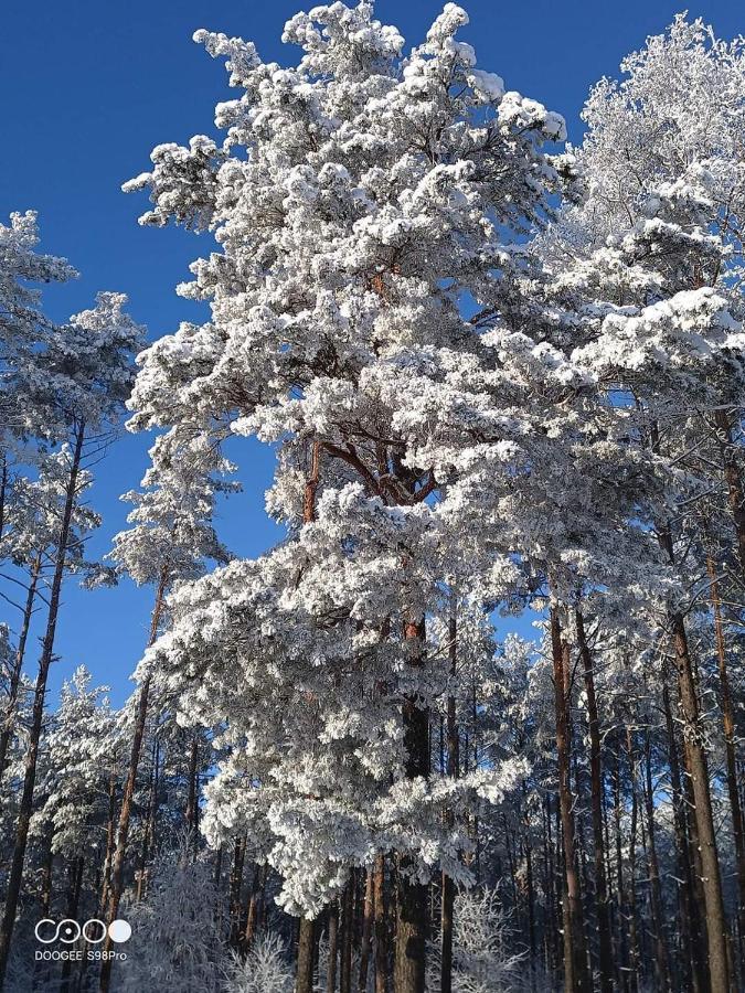 Вилла Kaszuby W Ostoja Bukowo - U Malgoski Domek 6 Z Widokiem Na Las I Internetem Borowy Mlyn Экстерьер фото